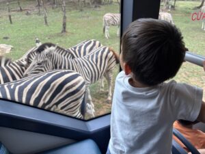 フーコック サファリ 動物園